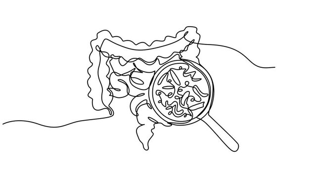 human colon with magnifying glass animation continuous one line drawing, Intestine virus icon , outline style, Intestines diagnostic infographic abdomen gastro concept. Vector graphic design element 