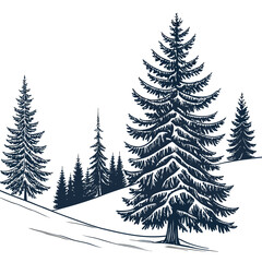 Fototapeta premium A group of snow covered pine trees on a snowy hill