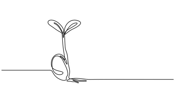 growing new leaves continuous one line drawing animation, Animated self drawing of Continuous one line drawing of a young plant sprout with two leaves growing from the ground. Plant drawing