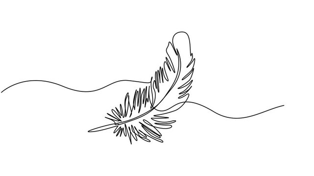 feather continuous one line drawing animation, Animated self drawing of continuous line draw. feather pen making.  Full length one line animation. 4K, Self animated minimalist continuous one line draw