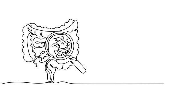 human colon with magnifying glass video, Intestines animation continuous one line drawing, Selfie drawing of human colon. Esophagus animation for health and nutrition whiteboard presentation.