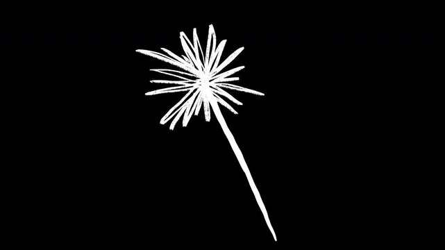 Minimalist hand drawn 2d animation of bright white sparkler burst on solid blue and chroma key background with alpha matte channel or overlay silhouette. Featuring sketchy, artistic line style, animat