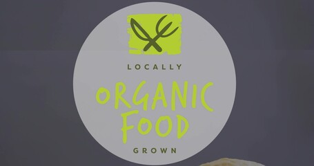 Showing badge centered on dark field, with lime fork-leaf square and 'LOCALLY ORGANIC FOOD GROWN' © vectorfusionart