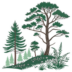 Obraz premium A group of pine trees on a grassy hill