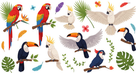 Tropical Parrot and Toucan Bird Collection with Colorful Feathers, Cockatoo, Exotic Leaves, and Flowers for Jungle Wildlife Illustration and Nature Design © Saidi