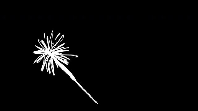Dynamic 2d animation of vibrant orange and red starburst firework or swinging explosive sparkler. Hand drawn motion element create sense of festive energy and motion on minimalist white background wit