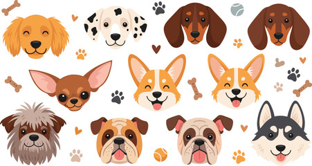 Cute dog faces collection with different breeds including corgi bulldog dachshund chihuahua dalmatian and husky adorable pet heads vector illustration set © Shefali