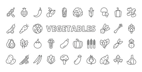 Fototapeta premium Vegetables icons in line design. vegetables, carrot, tomato, cucumber, broccoli, cabbage, onion on white background vector. Vegetables editable stroke icons