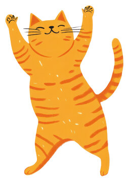PNG Orance cat dance illustration vegetable whiskers.