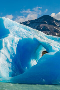 Los Glaciares National Park, Patagonia: giant floating icebergs while cruising on Lago Argentino (Lake Argentino), the biggest freshwater lake in Argentina nourished by glacial meltwaters

