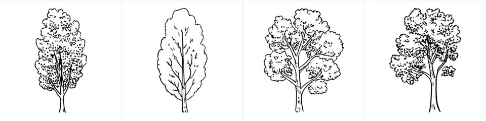 Obraz premium collection of four deciduous tree sketches in a minimalist black and white line art style design vector illustration artwork 