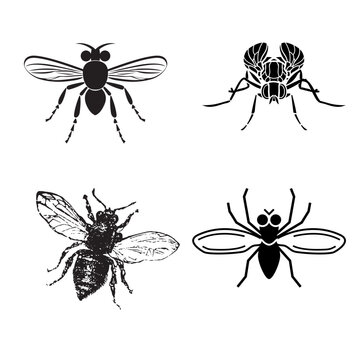 Insect Silhouette Collection Featuring Bee Fly and Spider Shapes