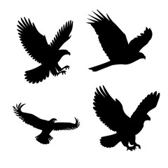 Obraz premium Flying Eagle Silhouette Icon Collection with Dynamic Wing Spread