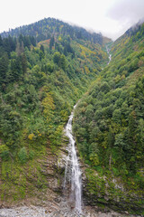 Forest in Kackar Mountain, Rize, Turkiye