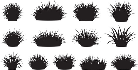 A collection of various types of grass clumps in black and white silhouette format isolated on transparent background, isolated on white background, Vector © Ripon islam rana