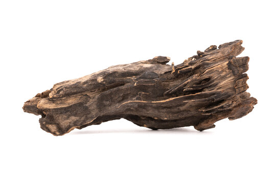 This captivating floating wooden sculpture moves gracefully, showcasing the art of nature. Each twist and curve tells a story of strength and beauty, inviting viewers to contemplate the passage of tim