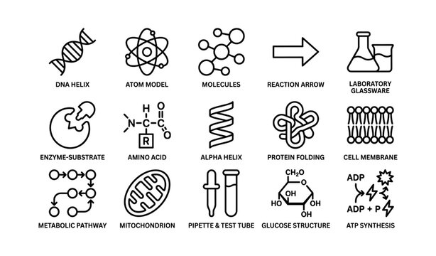 Scientific icons: dna helix, atom model, enzyme-substrate, glucose structure