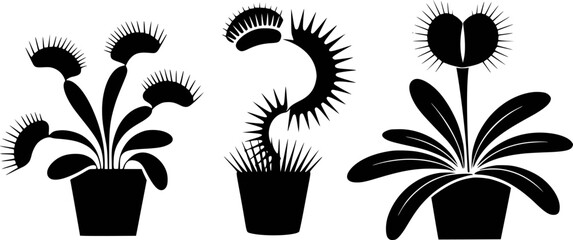 Black Silhouette Venus Flytrap Plants in Pots White Background carnivorous insectivore © Iman