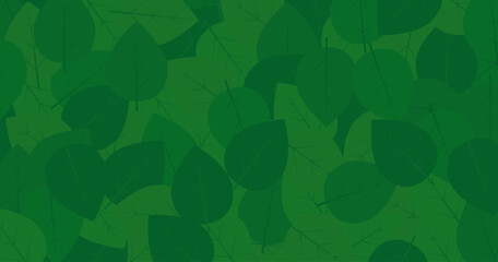 sfondo, foglie, foglia, natura, vivaio, piante,