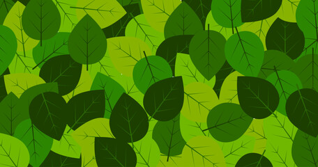 sfondo, foglie, foglia, natura, vivaio, piante,