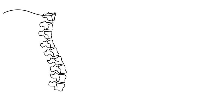 Animation video  spine, Continuous one line drawing bones of human hand.  Wrist bones in single line art Animation video . Chiropractor spine. Continuous one line drawing on Animation video