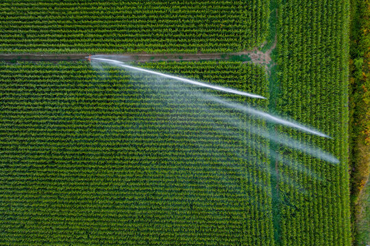 Irrigation of a field in front of a sunset. Agriculture in a hot summer in France