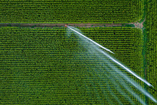 Irrigation of a field in front of a sunset. Agriculture in a hot summer in France
