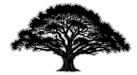 Silhouette of a large sprawling tree with detailed branches and leaves. © nazron