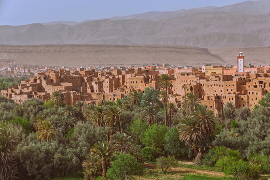 Central tract of the c.30 x 4 km large oasis along the Wadi Todgha river crowded with palm trees, Douar A&iuml;t Boujane town in front. Tinghir-Morocco-205