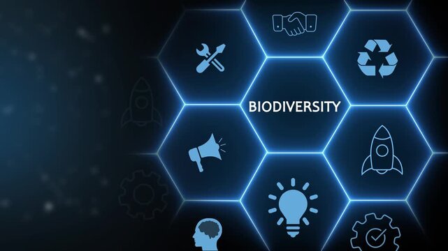 Biodiversity ecosystem vector infographics. Consists of desert, grassland, tundra, freshwater, rainforest, coral reef zones for layout
