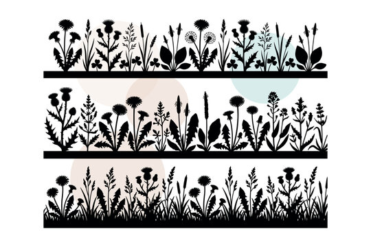 Vector set of wild meadow plants with dandelions thistles and clover. Herbal field landscape elements for nature projects and outdoor scenery. Black vector illustration design