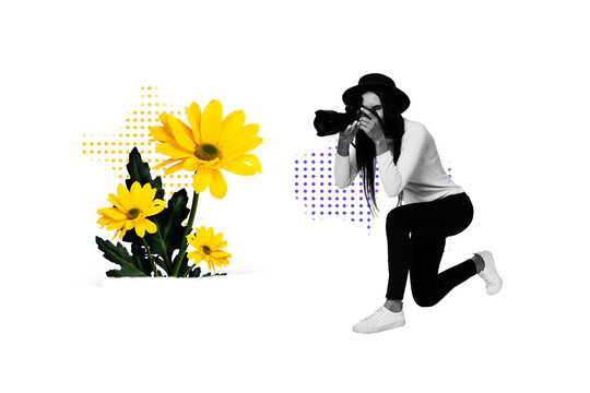 Creative sketch collage of happy photographer girl tourist hold digital camera shooting chrysanthemum flower spring bouquet