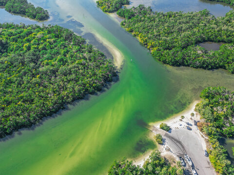 Cockroach Bay Preserve, FL 