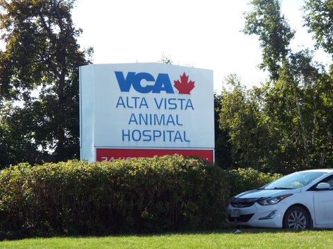 Ottawa, Ontario, Canada-July 19, 2025: A white pylon sign for "VCA Alta Vista Animal Hospital" at 2616 Bank Street. 