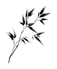 Obraz premium PNG Elegant bamboo ink illustration