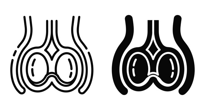 Male reproductive system anatomy icon set showing testicles and scrotum in outline and solid black style for medical education