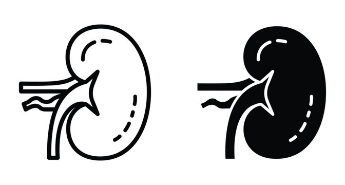 Human kidney organ icon set with outline and solid black silhouette styles for medical healthcare and anatomy education design
