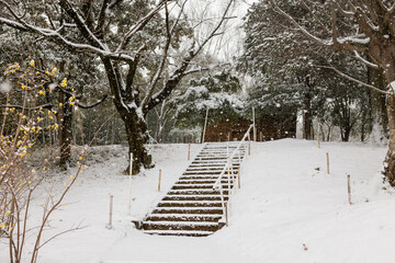 A snowy steps to a small shrine in Japan on a cold snowy day, countryside japan