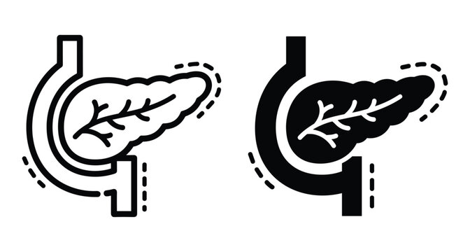 Pancreas and duodenum organ icons in line and solid style for medical anatomy digestive system health and biology education graphics