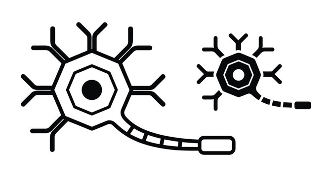 Human brain neuron cell icon set representing nervous system anatomy medical science biology neurology research and neural network connection symbols