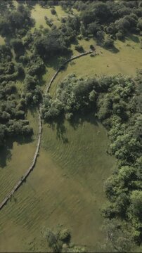  Aerial drone view over grassy forest hills and mountains with a trail