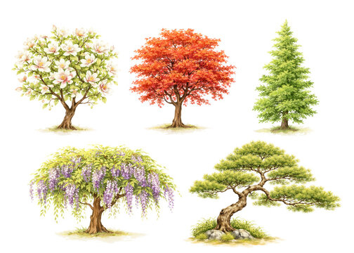 chinese trees set watercolor illustration, hand drawn for architecture or decorative. magnolia tree chinese red maple chinese cypress