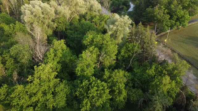 Aerial view of the Cheltenham area, a community within the town of Caledon, Ontario, Canada. Shot by a drone on a hazy summer afternoon along Creditview Road.