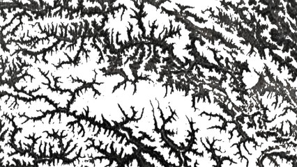 Fototapeta premium Dried river bed cracked earth texture showing organic root like branch patterns for environmental concept art