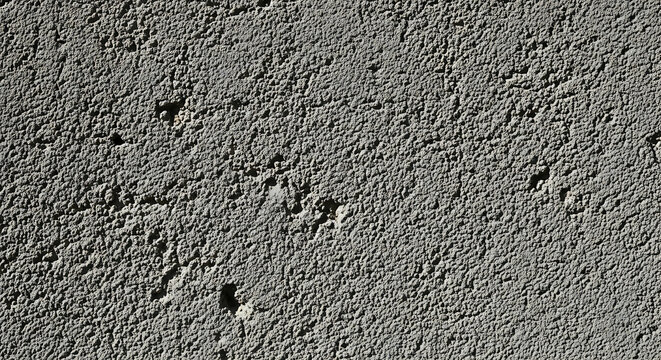 Textured Concrete Surface: An up-close view reveals a weathered concrete surface, highlighting its rugged texture and subtle imperfections.