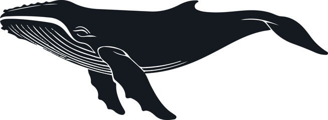 minimal humpback whale silhouette with subtle body lines, modern vector illustration design, isolated on white background © MST Rohima