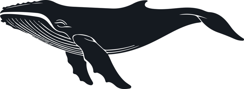 minimal humpback whale silhouette with subtle body lines, modern vector illustration design, isolated on white background