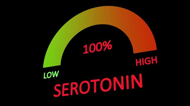 Hormone serotonin level measuring device. Serotonin level meter animation on black background.