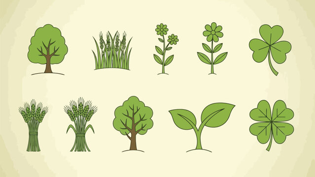 Collection of stylized illustrations depicting various types of trees and plants Vector