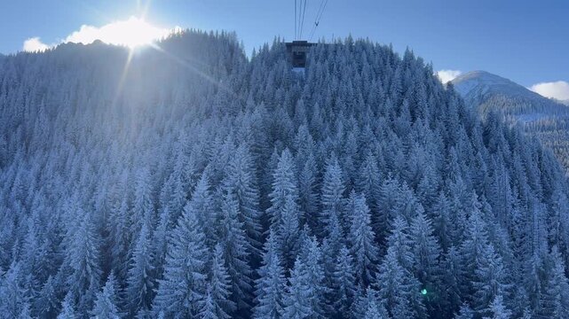 Snow Covered Trees Fill the Landscape as a Cable Car Travels Through the Mountain Region During a Sunny Winter Day